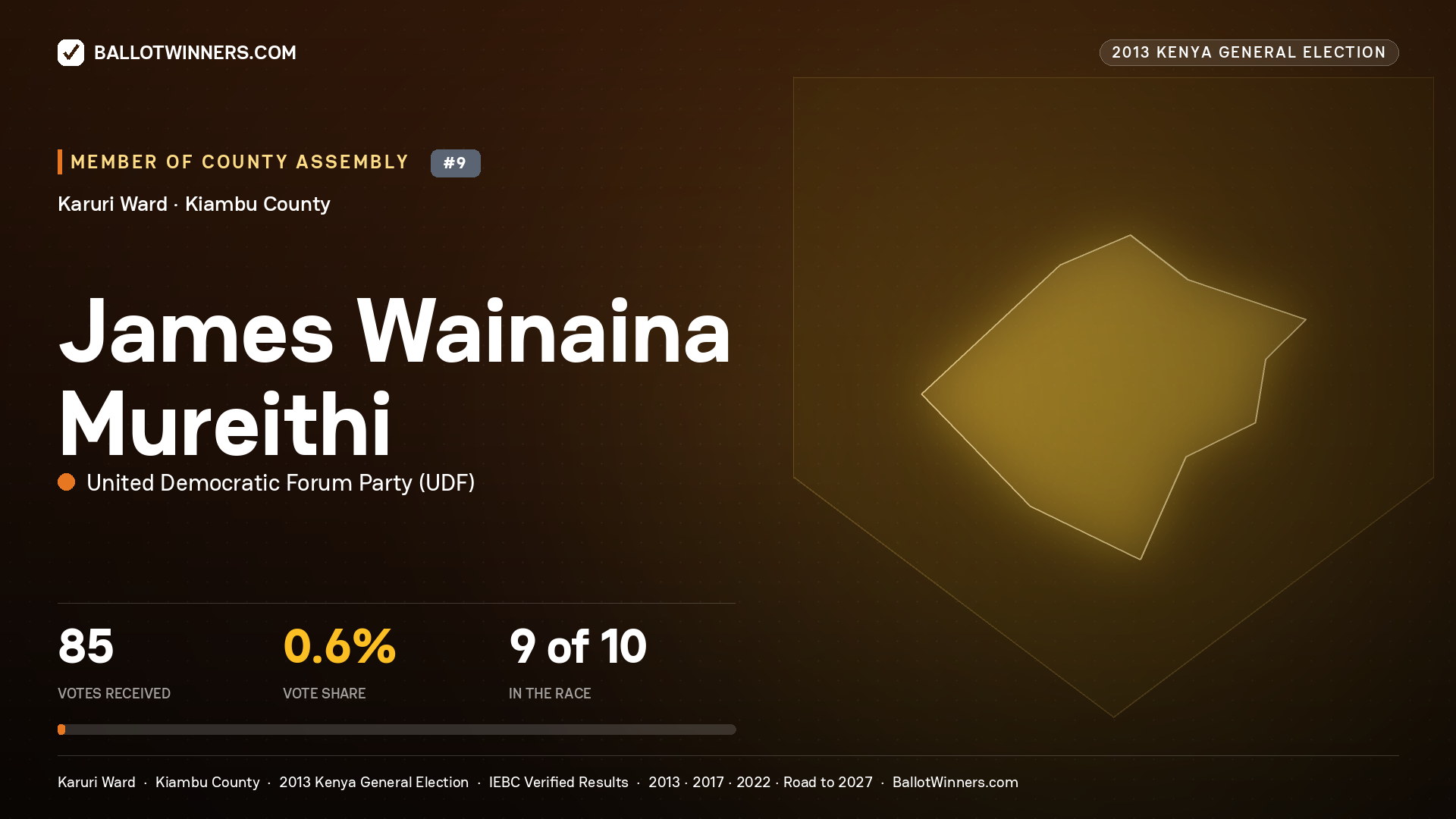 JAMES WAINAINA MUREITHI, contested Member of County Assembly for KARURI, 85 votes, 2013 Kenya general election.