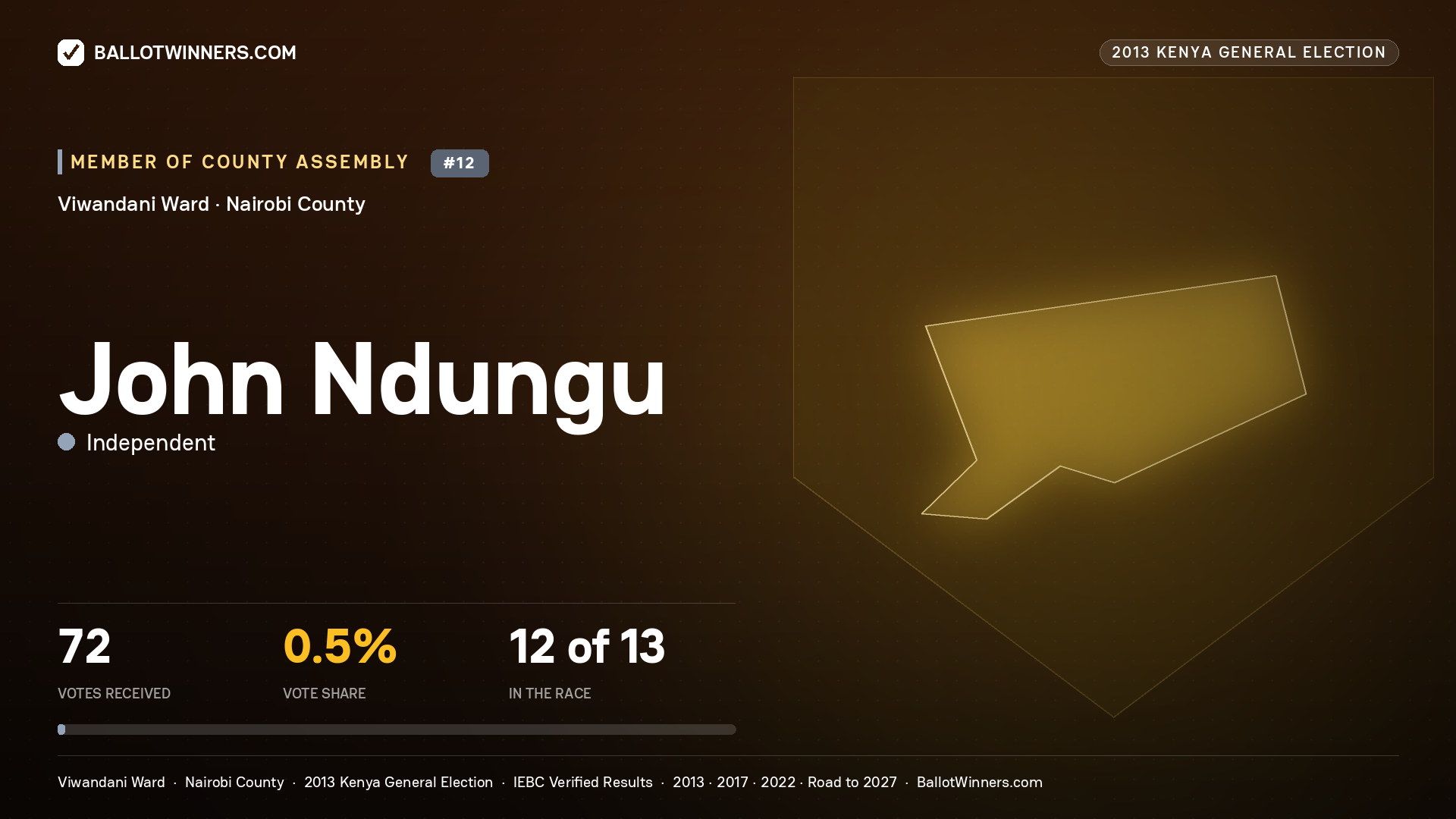 JOHN NDUNGU, contested Member of County Assembly for VIWANDANI, 72 votes, 2013 Kenya general election.
