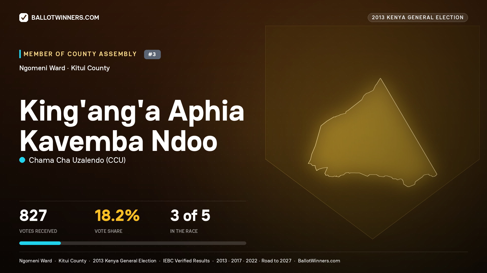 KING'ANG'A APHIA KAVEMBA NDOO, contested Member of County Assembly for NGOMENI, 827 votes, 2013 Kenya general election.