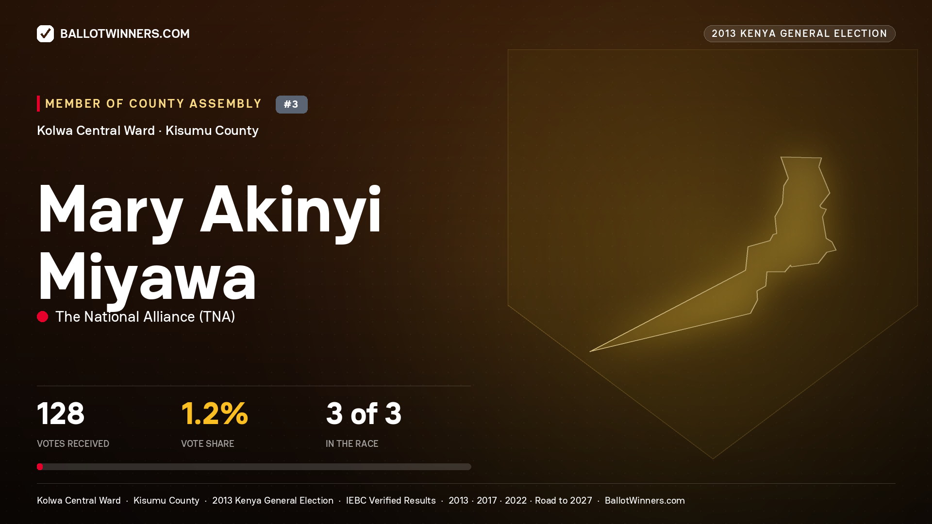 MARY AKINYI MIYAWA, contested Member of County Assembly for KOLWA CENTRAL, 128 votes, 2013 Kenya general election.