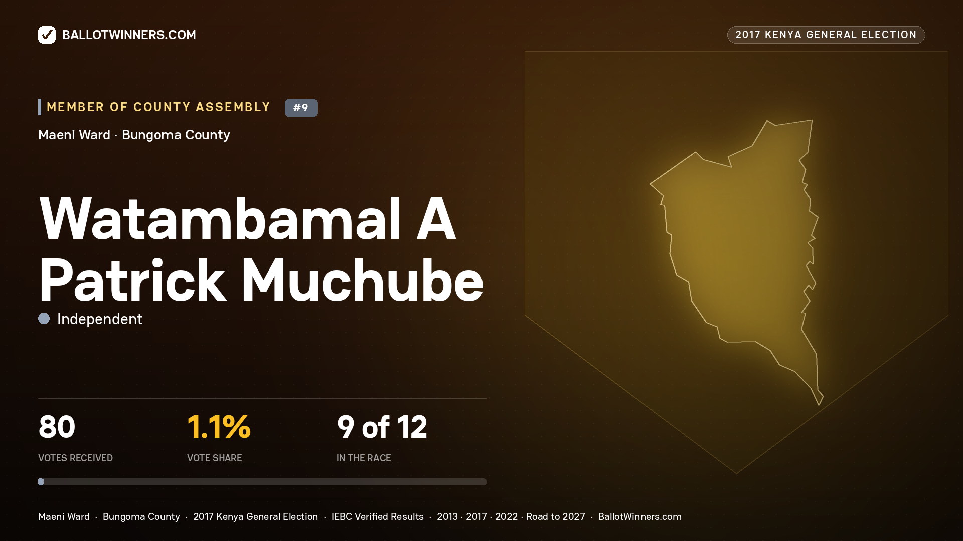 WATAMBAMAL A PATRICK MUCHUBE, INDEPENDENT, contested Member of County Assembly for MAENI, 80 votes, 2017 Kenya general election.
